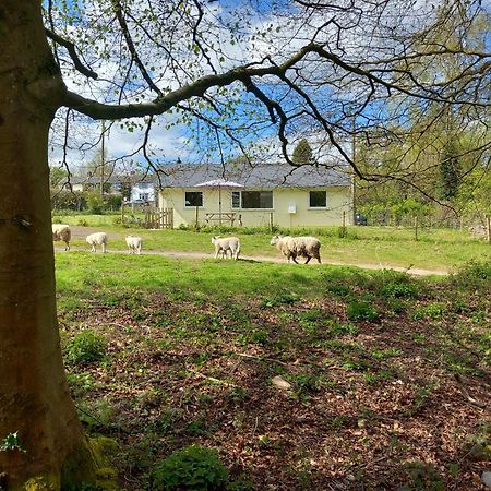 The Bungalow, Forest Of Dean Coleford  Esterno foto