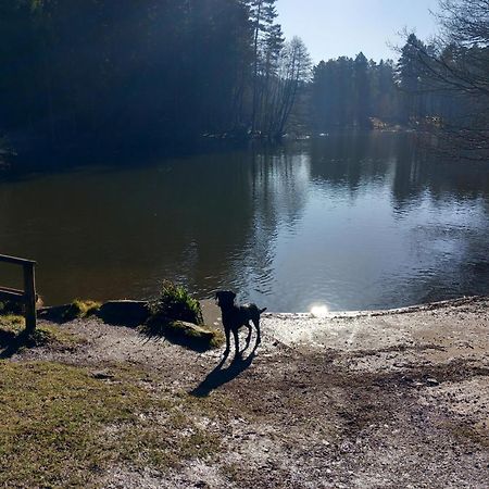 The Bungalow, Forest Of Dean Coleford  Esterno foto