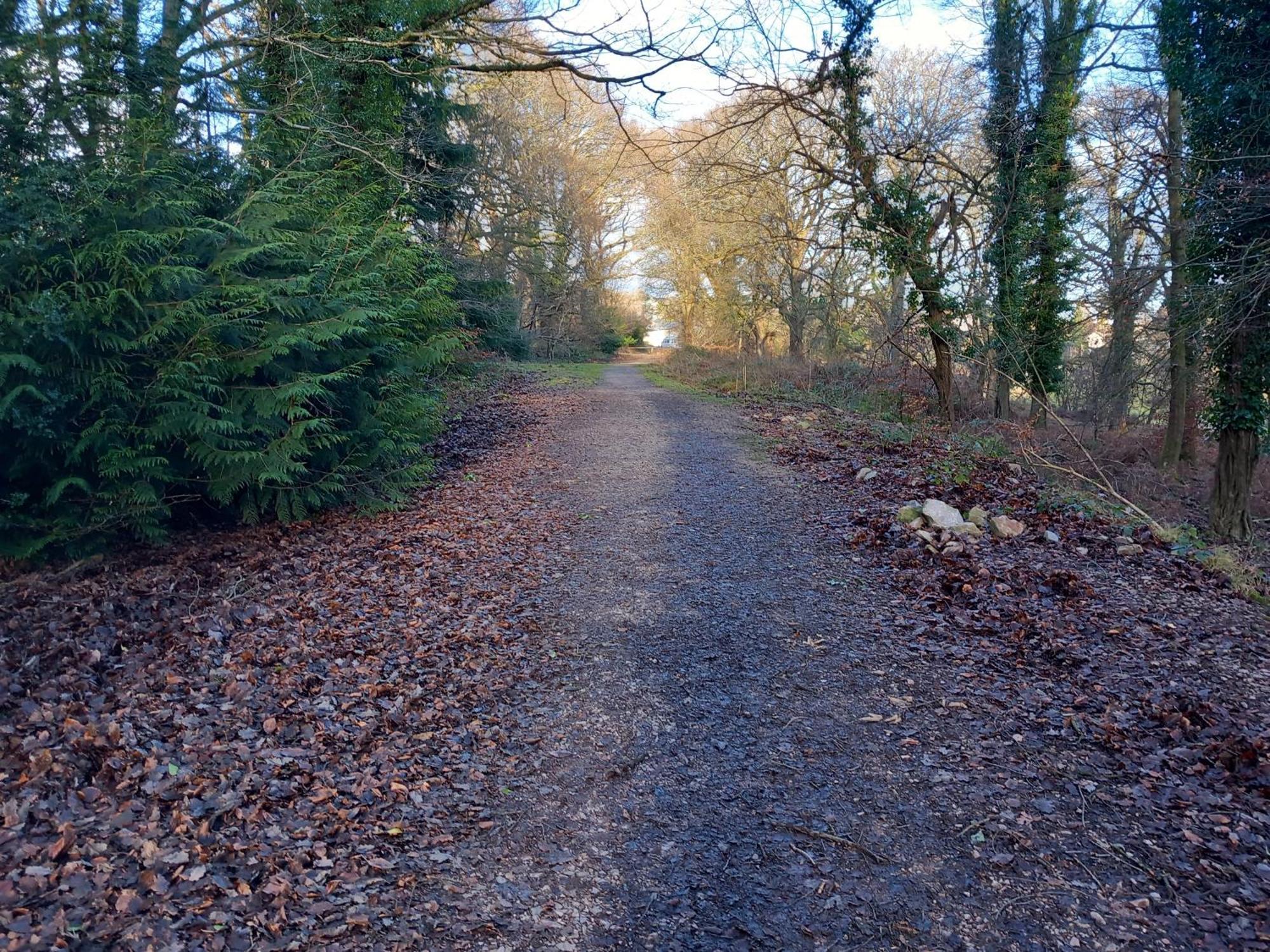 The Bungalow, Forest Of Dean Coleford  Esterno foto