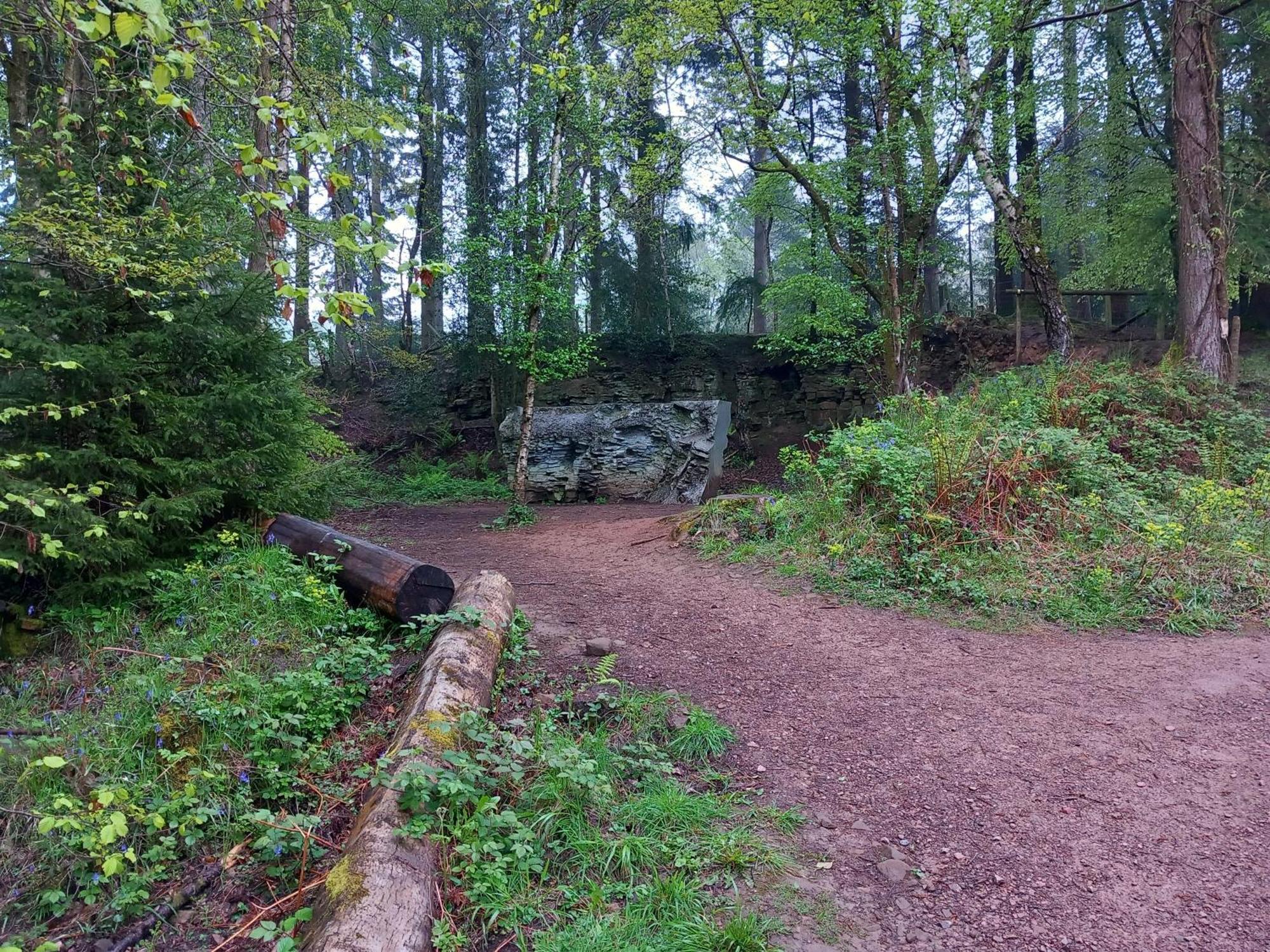 The Bungalow, Forest Of Dean Coleford  Esterno foto