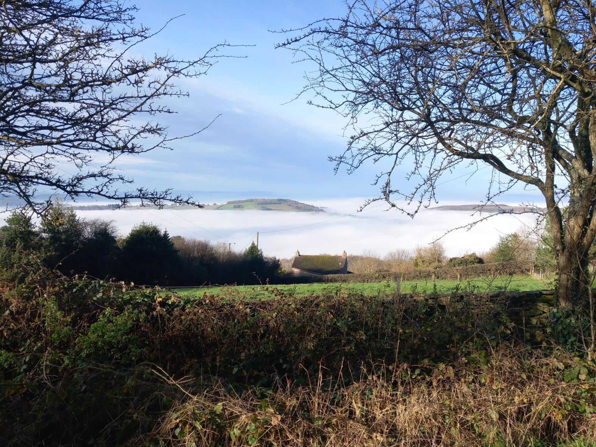 The Bungalow, Forest Of Dean Coleford  Esterno foto